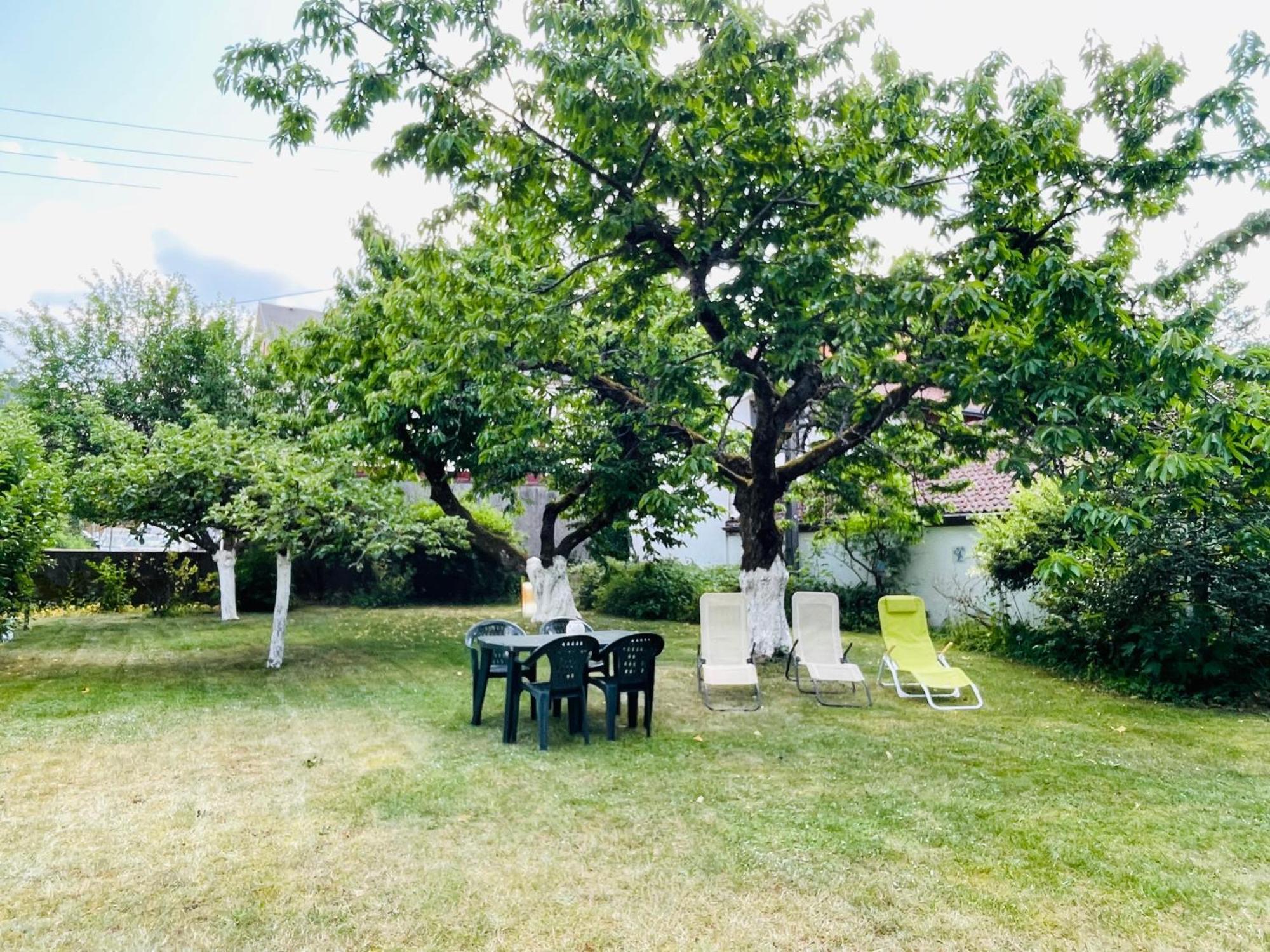 Apartmán L'Ecureuil Gérardmer Exteriér fotografie