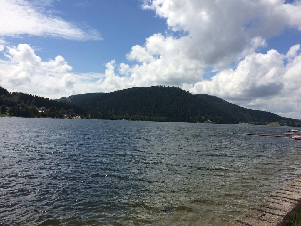 Apartmán L'Ecureuil Gérardmer Exteriér fotografie